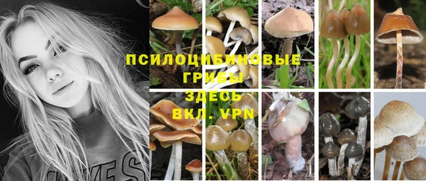 марки lsd Баксан