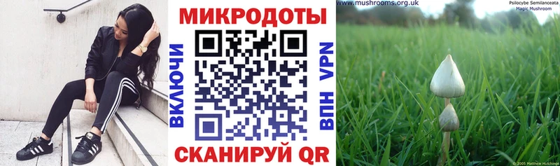 Псилоцибиновые грибы мухоморы Купить Донской
